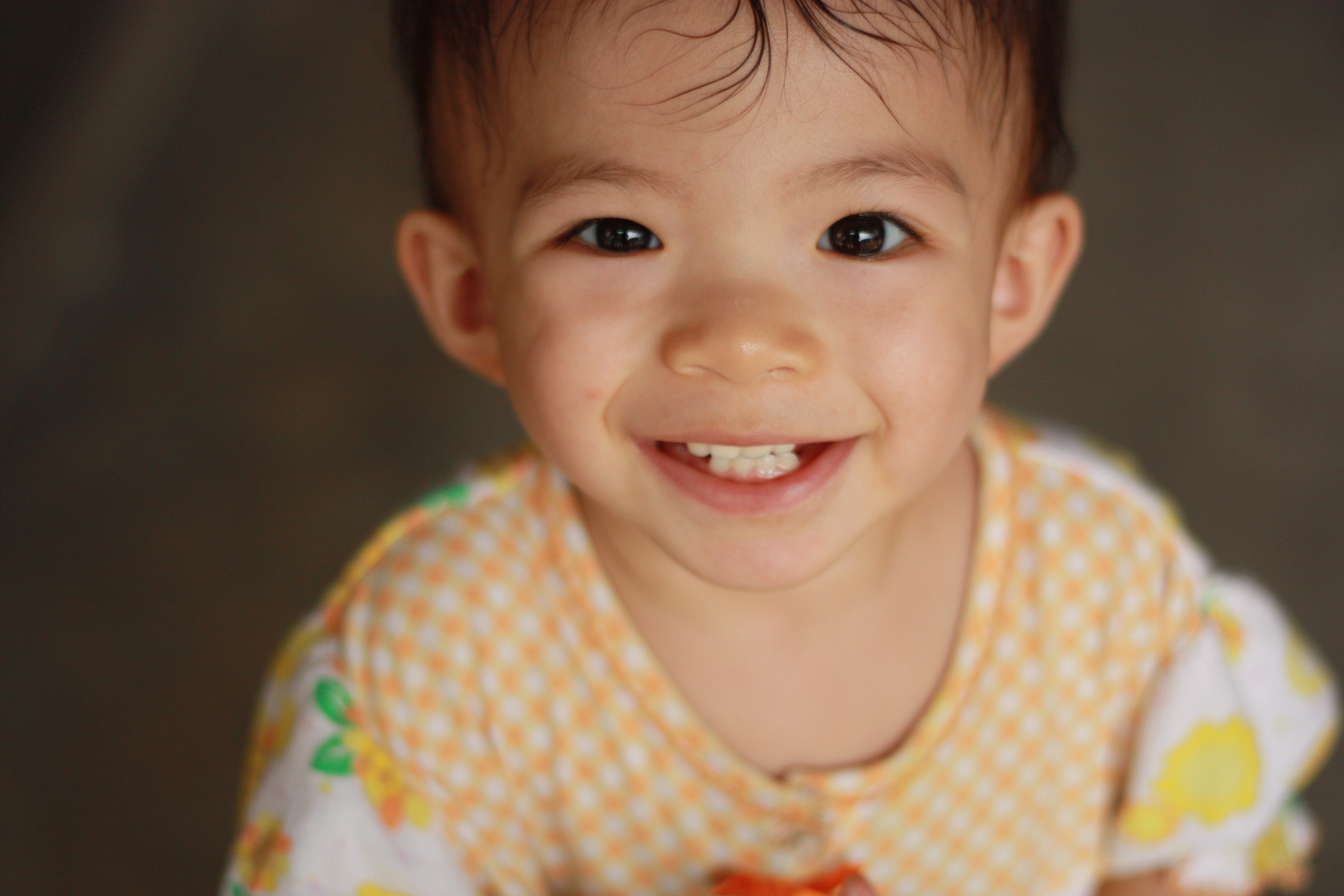 menyusui bikin gigi anak rusak, ASI dan gigi berlubang, mitos menyusui, kesehatan gigi bayi, early childhood caries, menjaga gigi anak menyusui, Bunda, si Kecil
